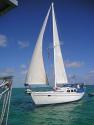 Windfall - 35' Cal Cruiser