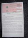 New Mexican Tourist Visa (back)