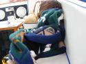 Bailey and Bad Kitty keeping warm in the cockpit.