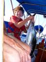 Tim's Yellow Fin